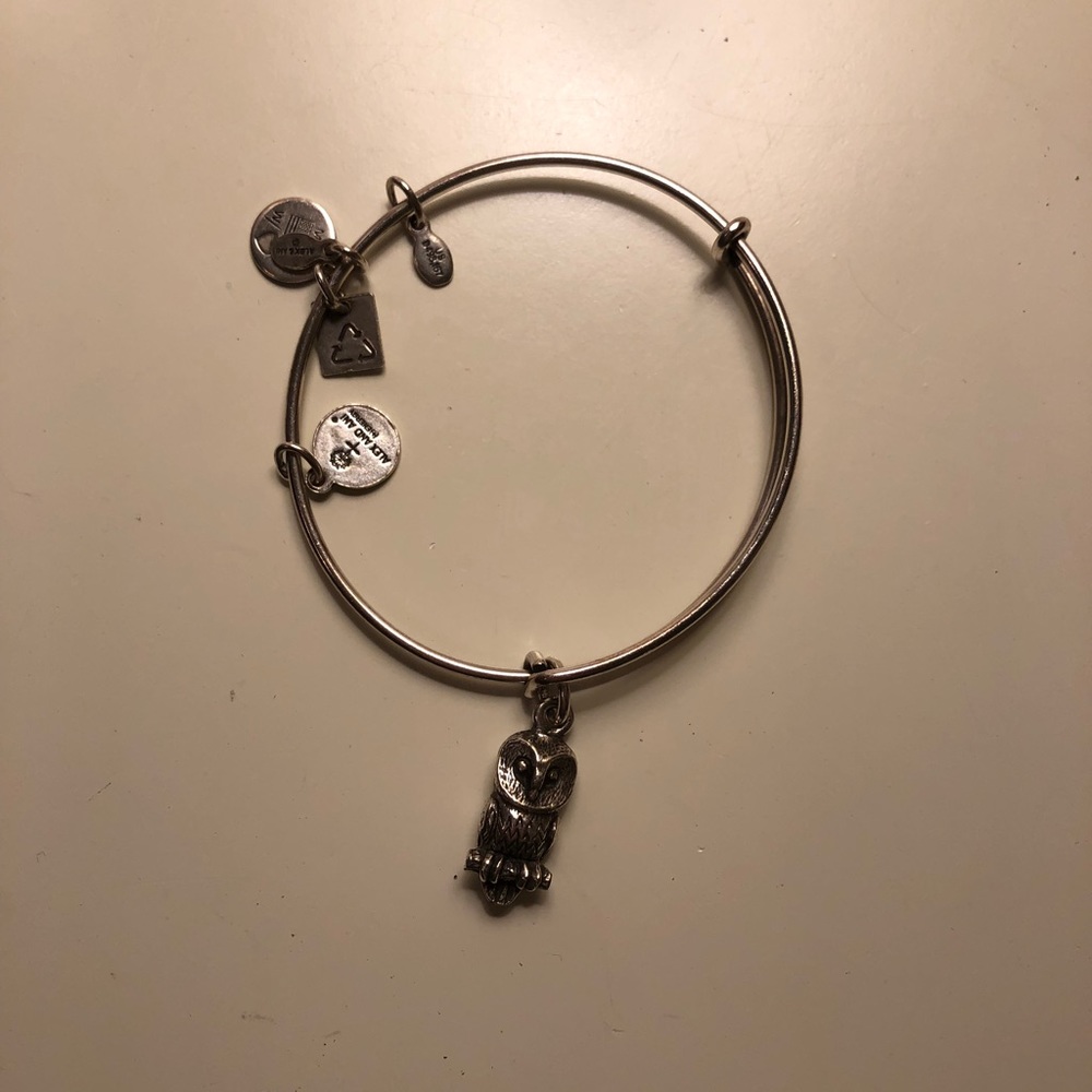 Silver Alex & Ani Owl bracelet